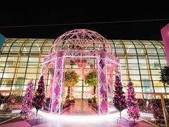 店内环境-新城市广场