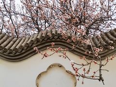 -鹫峰国家森林公园