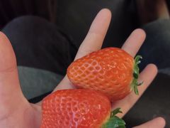 -牛New寿喜烧(曹路花园城店)