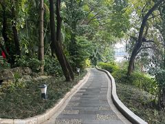 -南宁南湖公园
