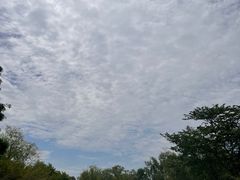 -上海滨江森林公园