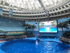 -海合安成都极地海洋公园
