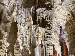 -怀托摩萤火虫洞