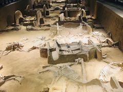 -洛阳周王城天子驾六博物馆