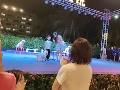 -渔家火锅·海鲜自助餐·演艺(亚龙湾天域酒店)