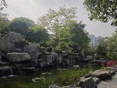 -东莞植物园