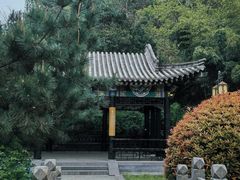 -长安文化生态公园