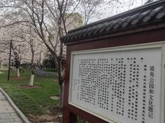 -堤角公园