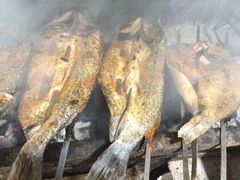 -新疆风味冷水鱼庄(友谊峰路店)