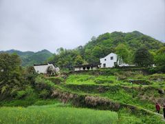 -石台牯牛降景区