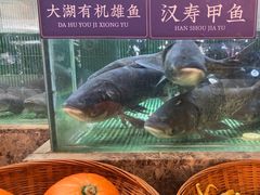 -鱼你相聚·河鲜馆(袁家岭店)