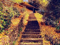 -藏龙百瀑风景区