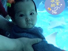-泉城欧乐堡海洋极地世界