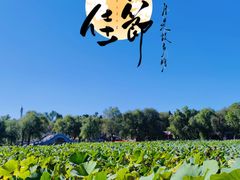 -长春市南湖公园