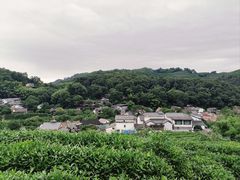 -十里琅珰