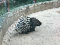 -青藏高原野生动物园