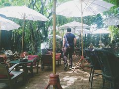 -Fern Forest Cafe