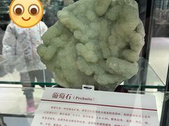 -中国第四纪冰川遗迹陈列馆