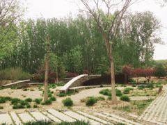 -东郊湿地公园