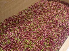 -炖物24章·顺时轻养茶(杭州保利时光里店)