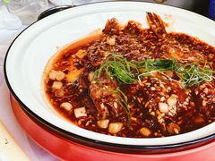 -圆苑(金茂店)