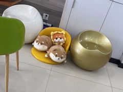 -思琪宠物医院(昆山花桥店)