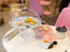 -三花喵·撸猫购宠·宠物生活馆(虹桥南丰城店)