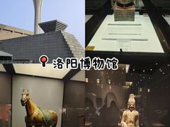 -洛邑九州·九州面莊