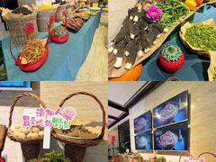 -洛阳宴·洛阳菜(南昌路店)