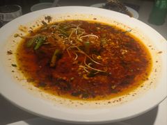 -院8里·小聚园老川菜(九眼桥店)