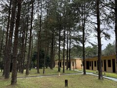 -海南热带雨林国家公园吊罗山景区