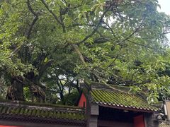 -成都武侯祠博物馆