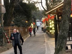 -张鸟园农家乐(张鸟园店)