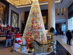 -长沙富力万达文华酒店