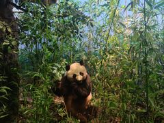 -陕西自然博物馆