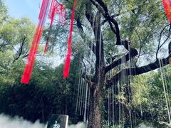-淄博聊斋城景区