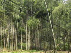 -会稽山峡洞漂流-上青古道