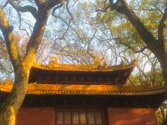 -普陀山风景名胜区-法雨禅寺