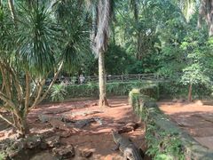 -海南热带野生动植物园
