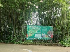 -海南热带野生动植物园