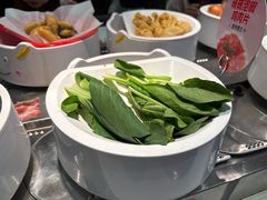 -龍歌自助小火锅(李沧顺和汇店)