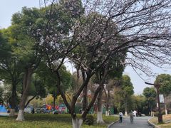 -堤角公园
