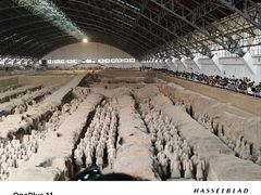 -秦始皇帝陵博物院(兵马俑)