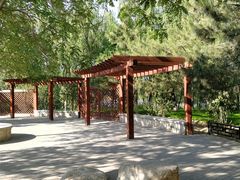 -大兴滨河森林公园