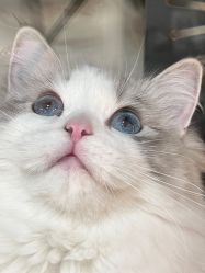 -花系美·美甲美睫精品店