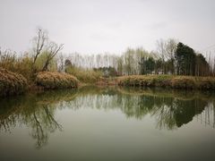 -桤木河湿地公园