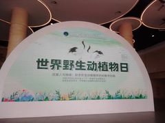 -盐城丹顶鹤湿地生态旅游区