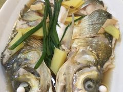 -观桥阁(锦溪店)