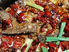 -老板恋上鱼(恒隆广场店)