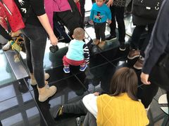 -上海环球金融中心云端足球盛典